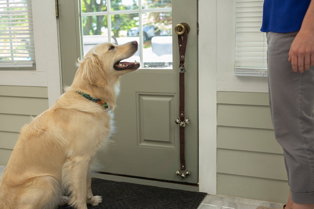 Housetraining with Potty Bells