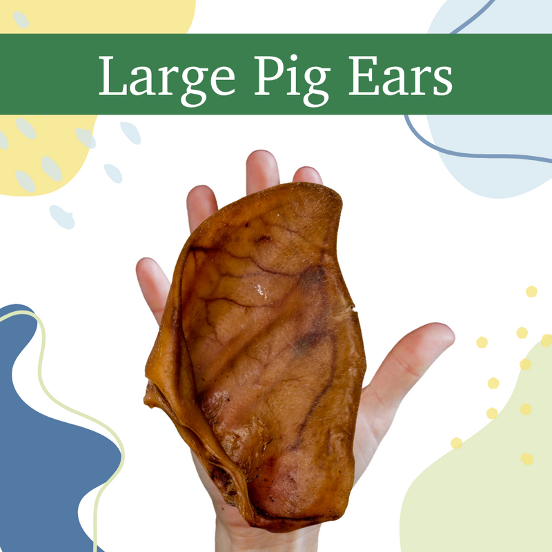 All-Natural Premium Pig Ears Dog Treats (18 Count)