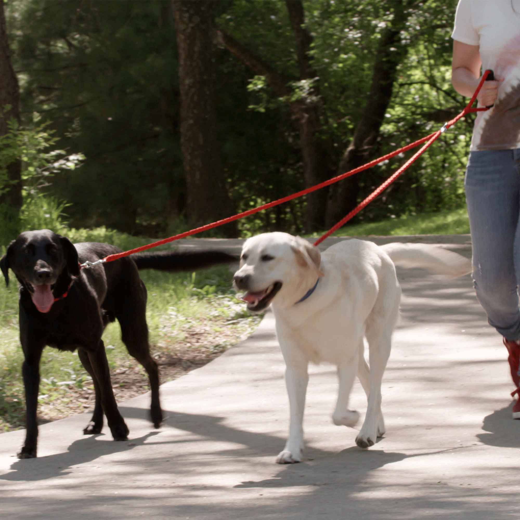 Caldwell's double dog sales leash