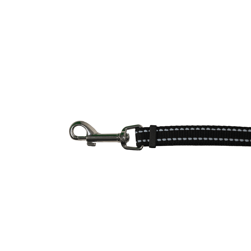 Leash coupler for clearance small dogs