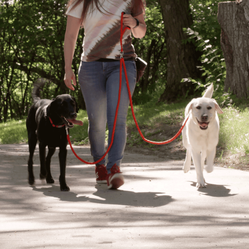 Dual doggie leash hot sale