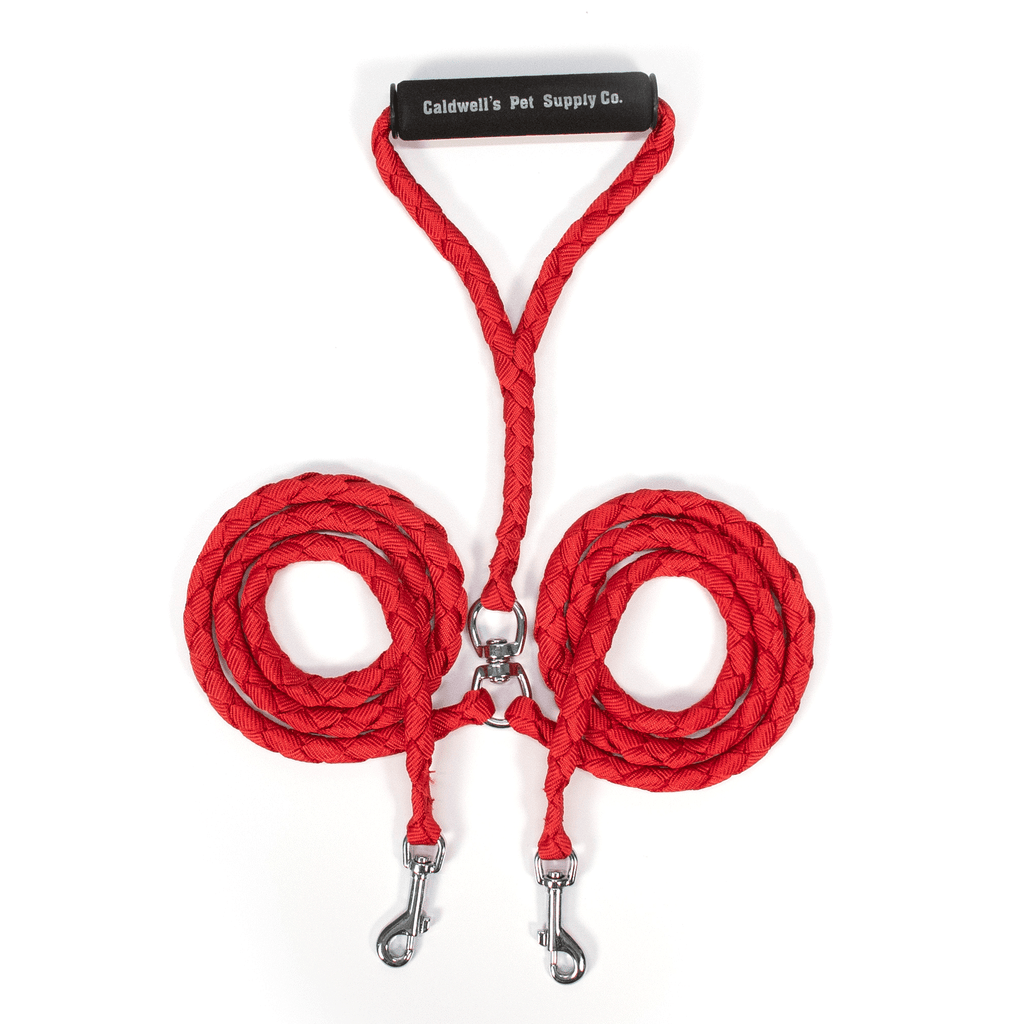 Caldwell's double dog leash for two dogs best sale