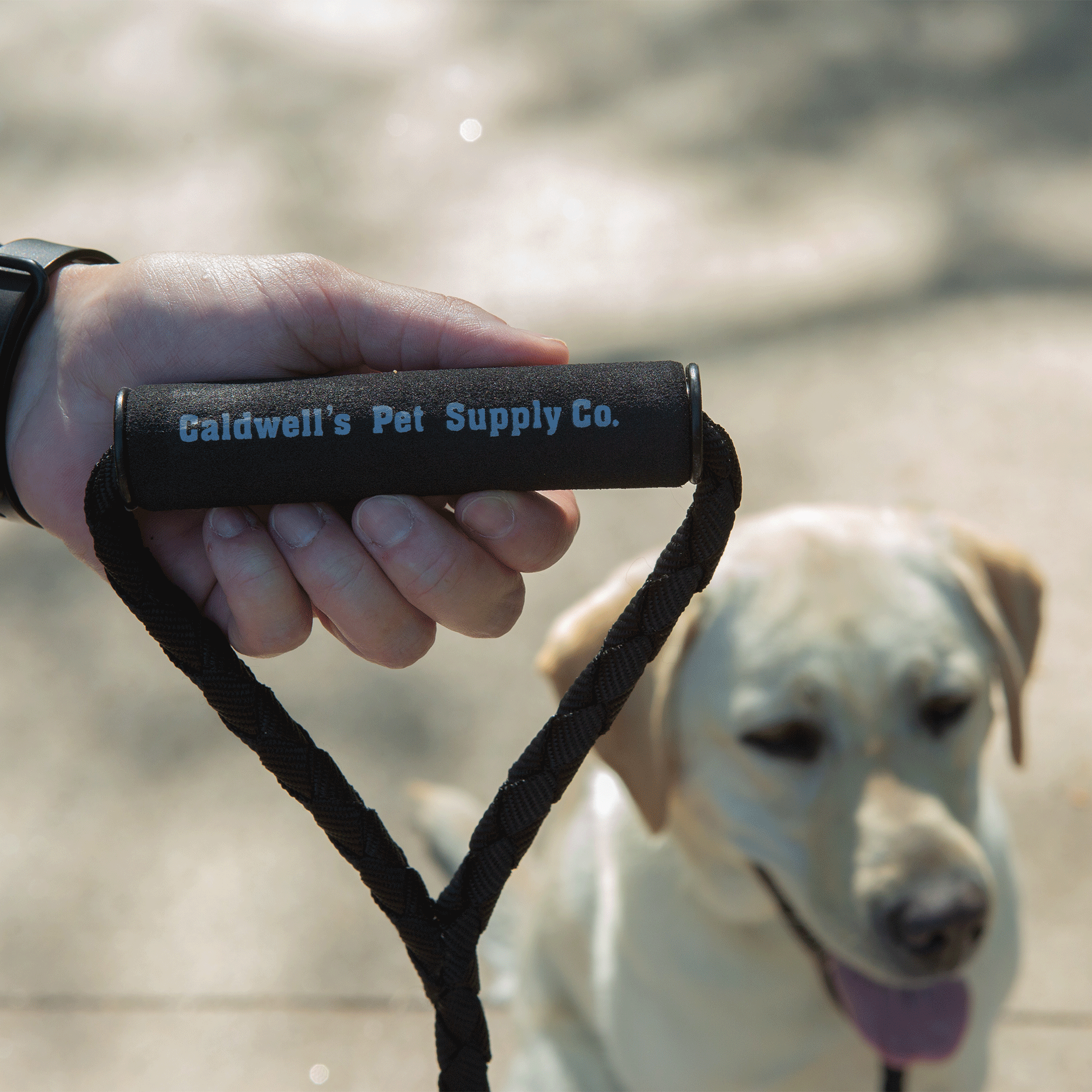 Caldwell's double top dog leash